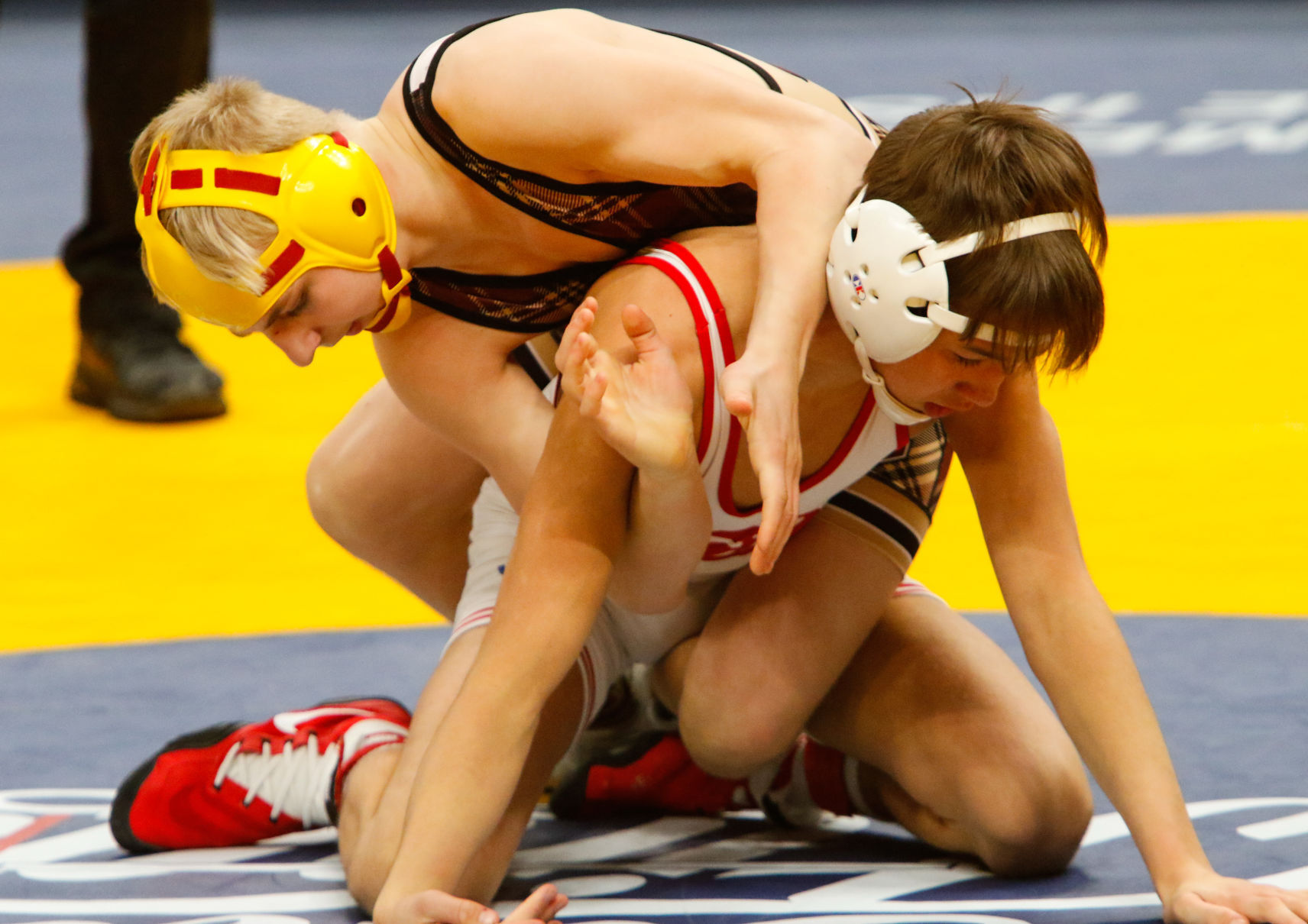 Gallery: Wrestling state finals - consolations